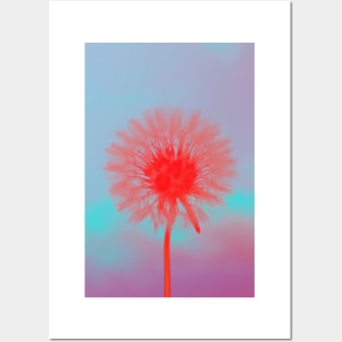 Dandelion I Posters and Art